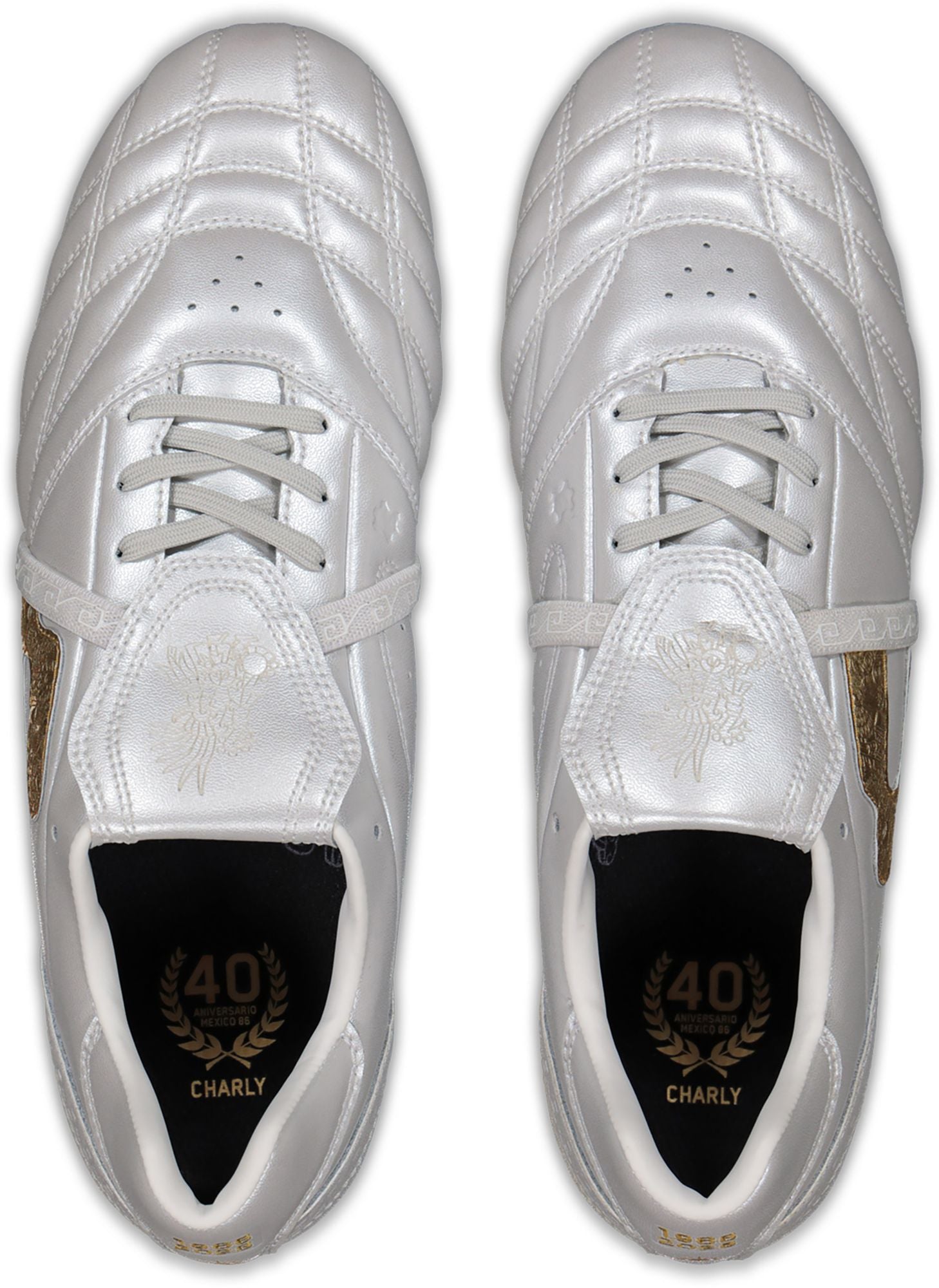 Charly Legendario 26 PFX AG
