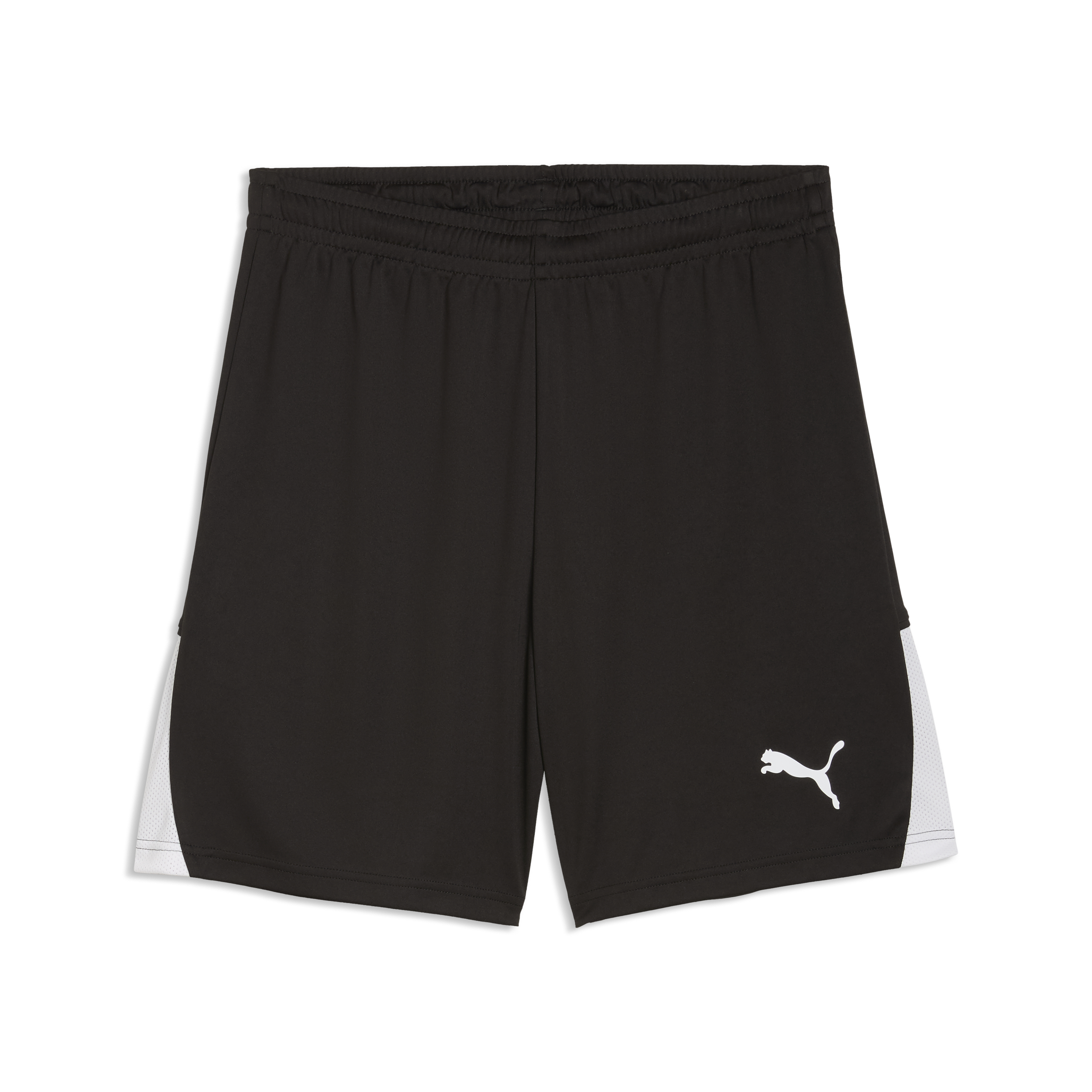 Puma Team Liga 26 Shorts