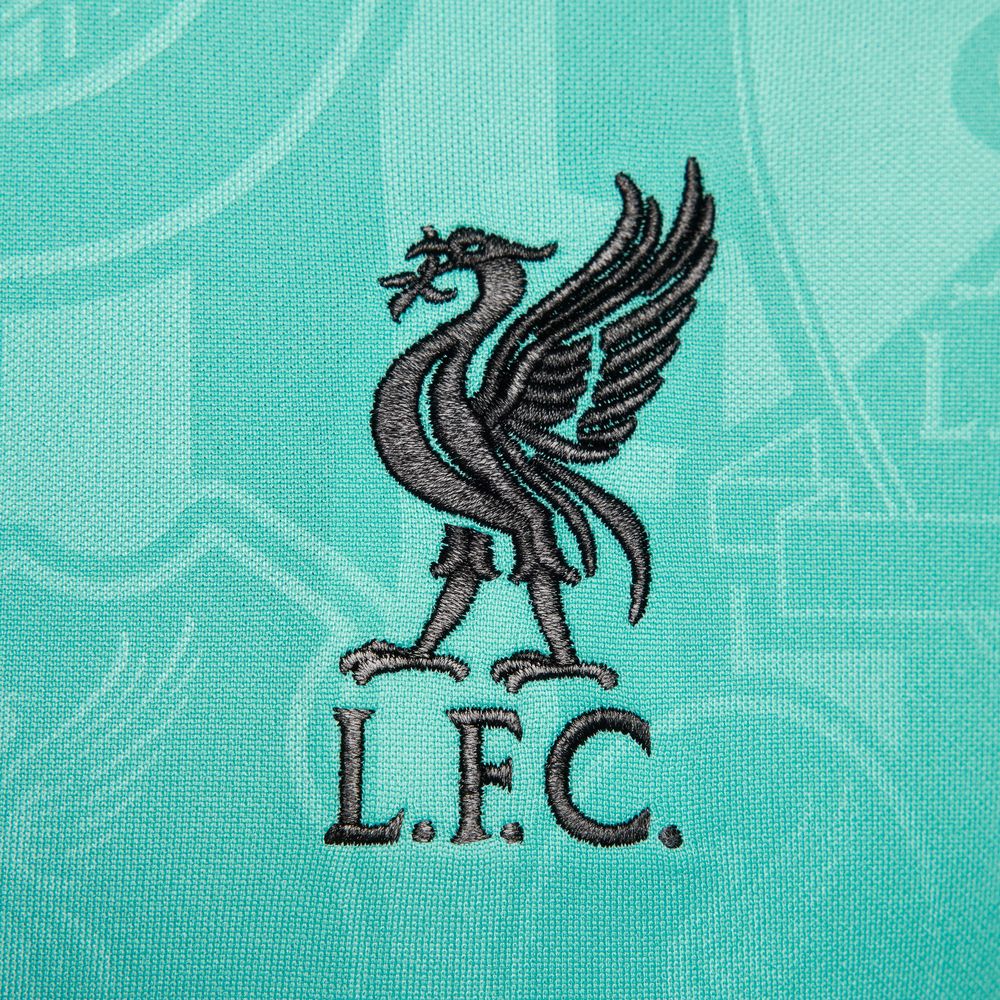 Nike Liverpool FC 2024/25 Academy Pro Pre-Match Top