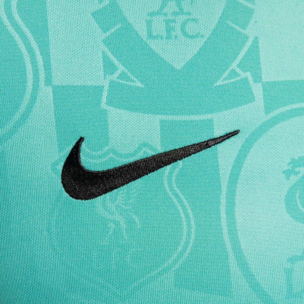 Nike Liverpool FC 2024/25 Academy Pro Pre-Match Top