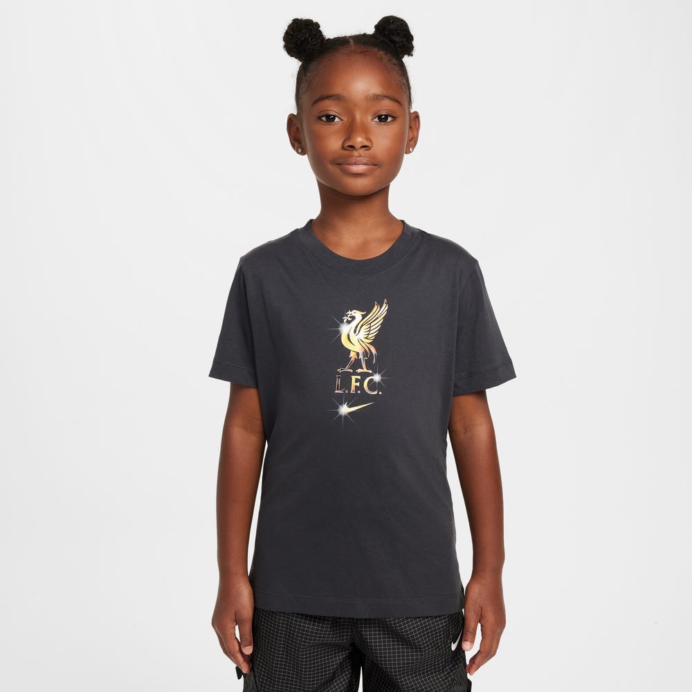 Nike Youth Liverpool FC 2024/25 Crest Tee