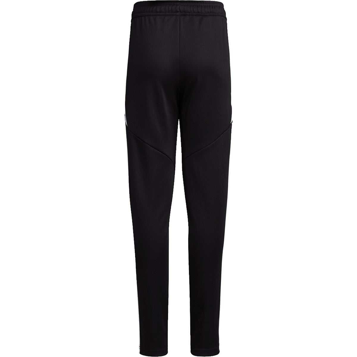 Adidas Tiro 24 Training Pant